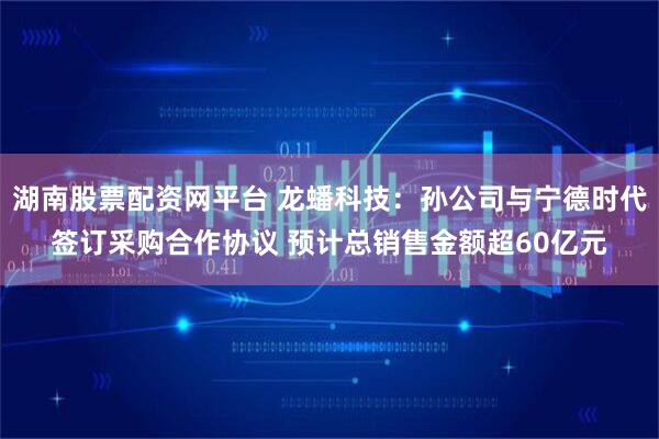 湖南股票配资网平台 龙蟠科技：孙公司与宁德时代签订采购合作协议 预计总销售金额超60亿元